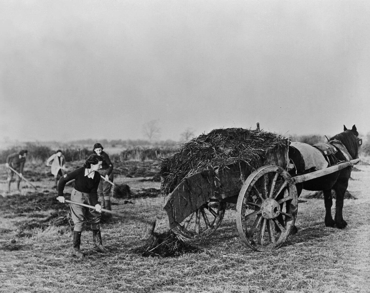 #64 British women working on a farm, 1943
