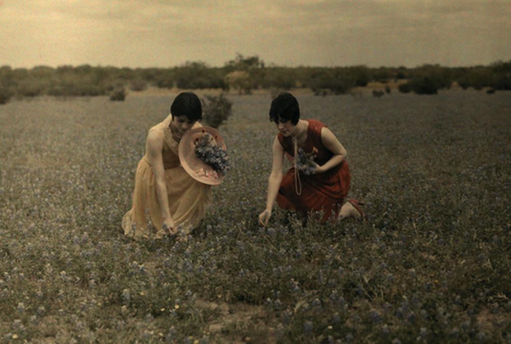 #7 Two women pick the state flower in a Laredo field, Texas, ca. 1920s.