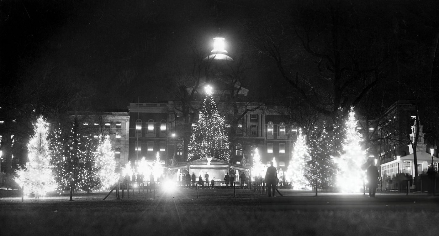 #22 Trees decorated with Christmas lights on Boston Common, 1960.