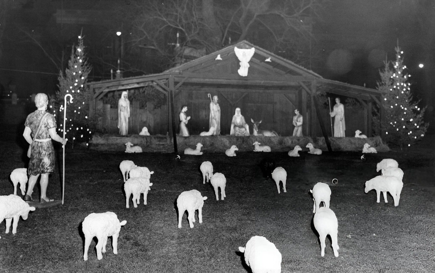 #28 The stable scene is set up on Boston Common, 1956.