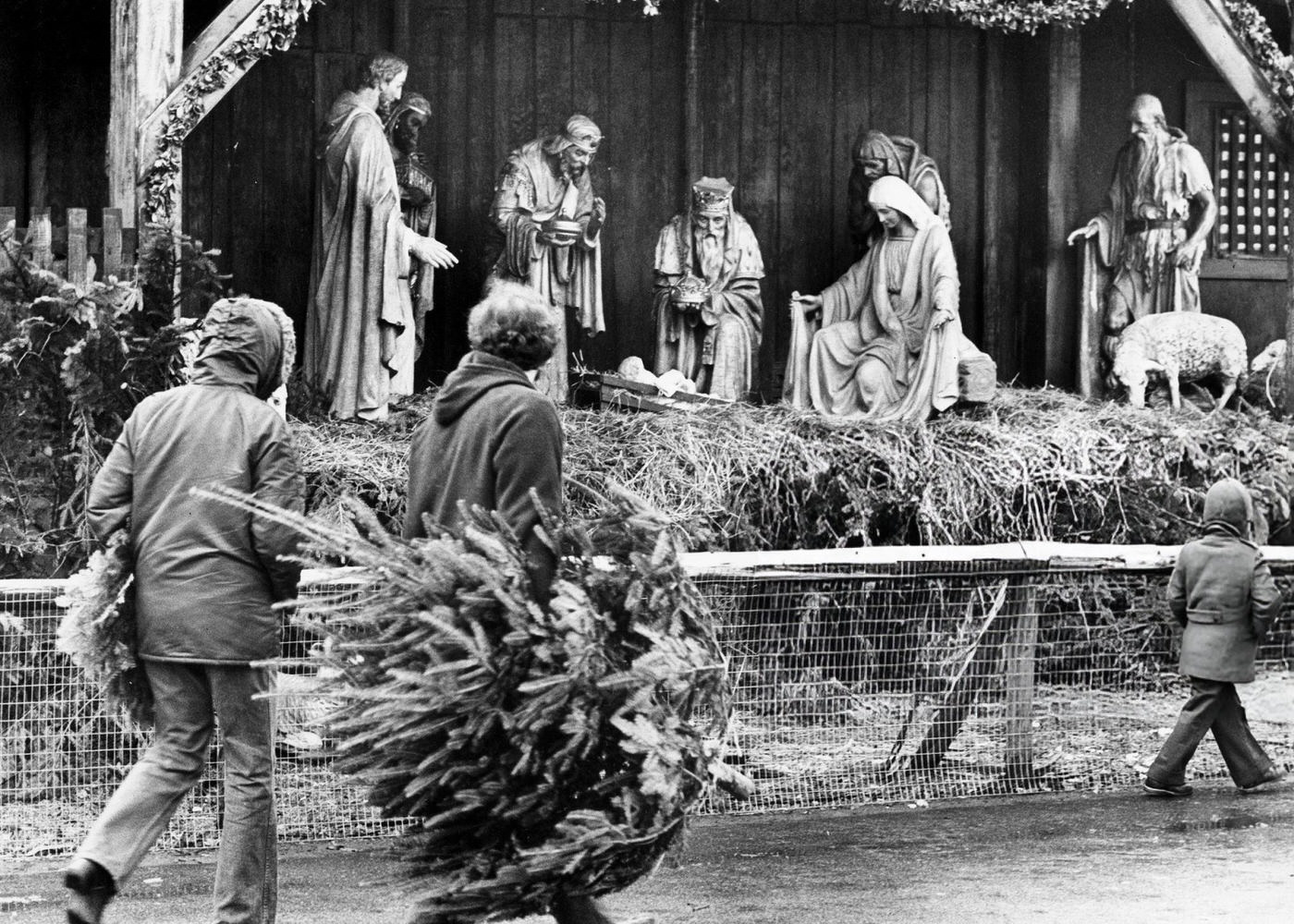 #48 People carrying a tree and wreath walk past the Christmas decorations on Boston Common, 1974.
