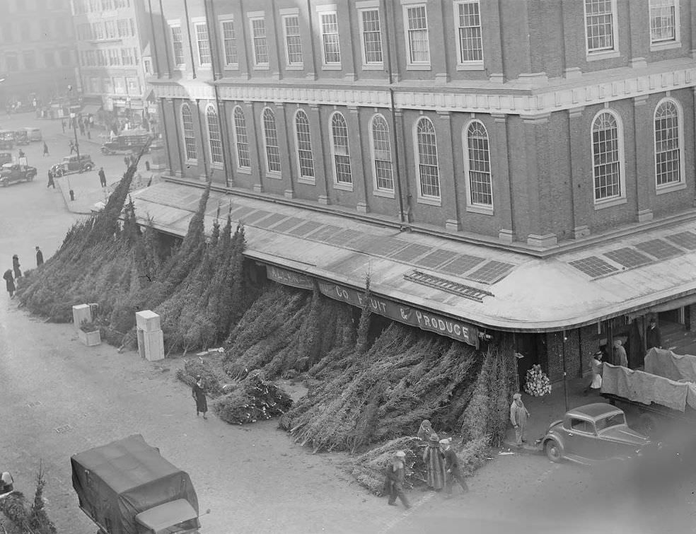 #59 Allen & Co. Fruit and Produce selling Christmas Trees, 1930.
