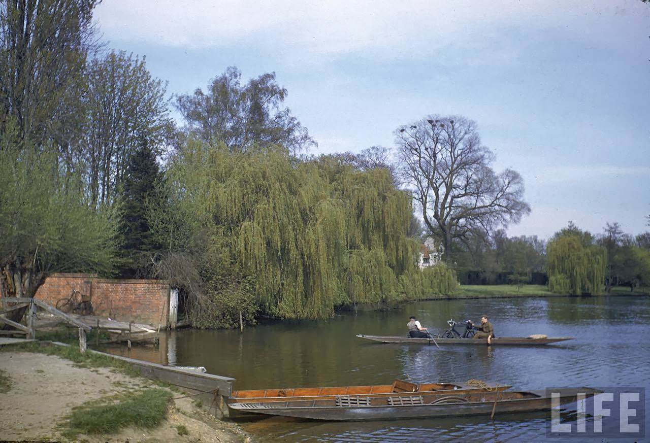 Pastoral riverside scene along the Thames.