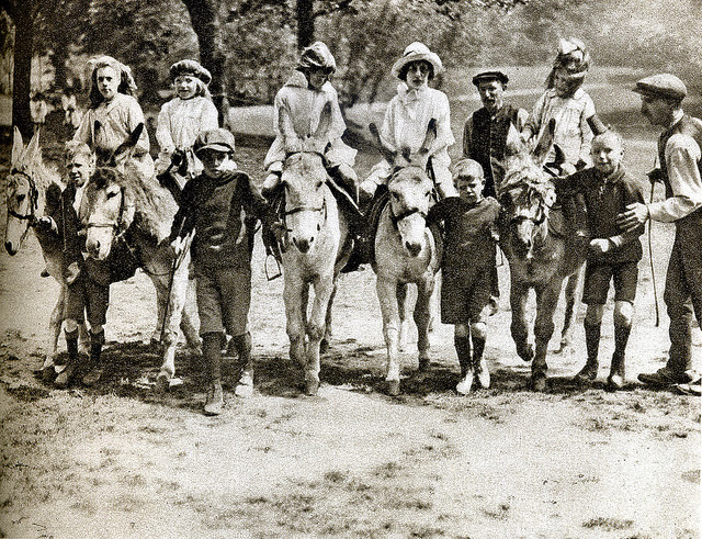 #73 Hampstead Heath donkey rides