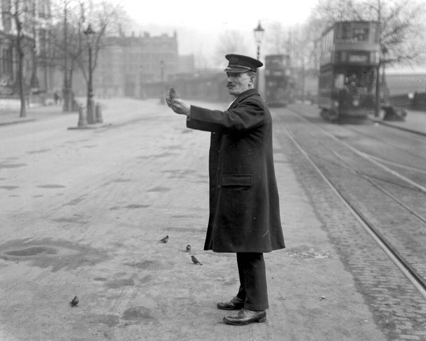 #35 Sparrows at Embankment, 1920.