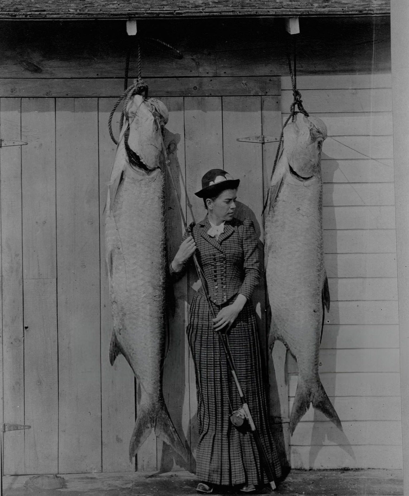 #20 Mrs. Charles E. Allen of Glasgow, Scotland, with two tarpons she caught off St. James City, Florida.