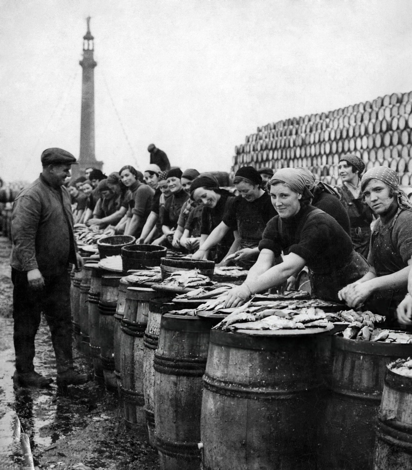 #52 Yarmouth fisherwomen gutting herring, 1936.