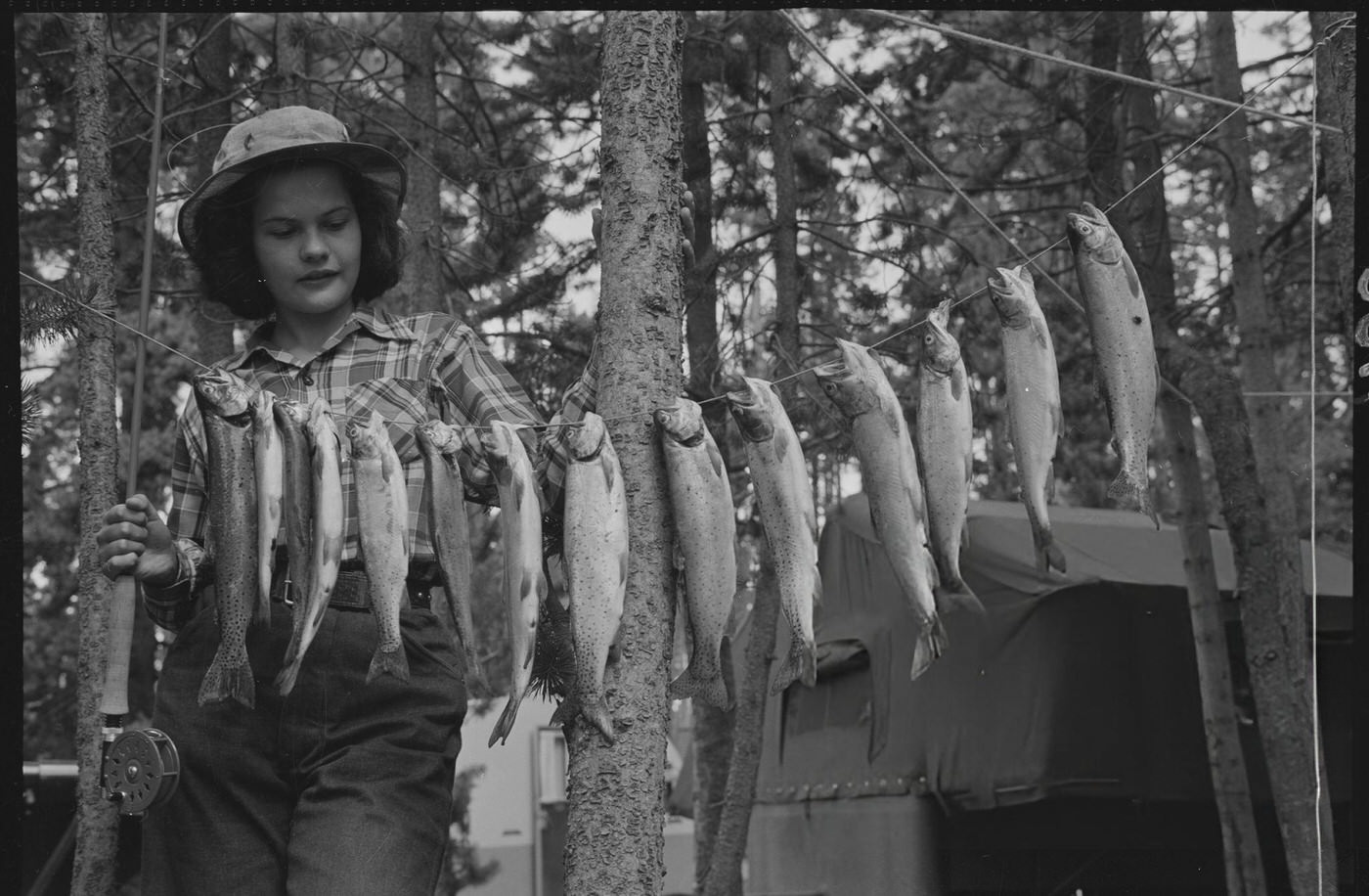 #56 The Day’s Catch, cutthroat trout, Fishing Bridge Camp, Yellowstone Park, Wyoming.
