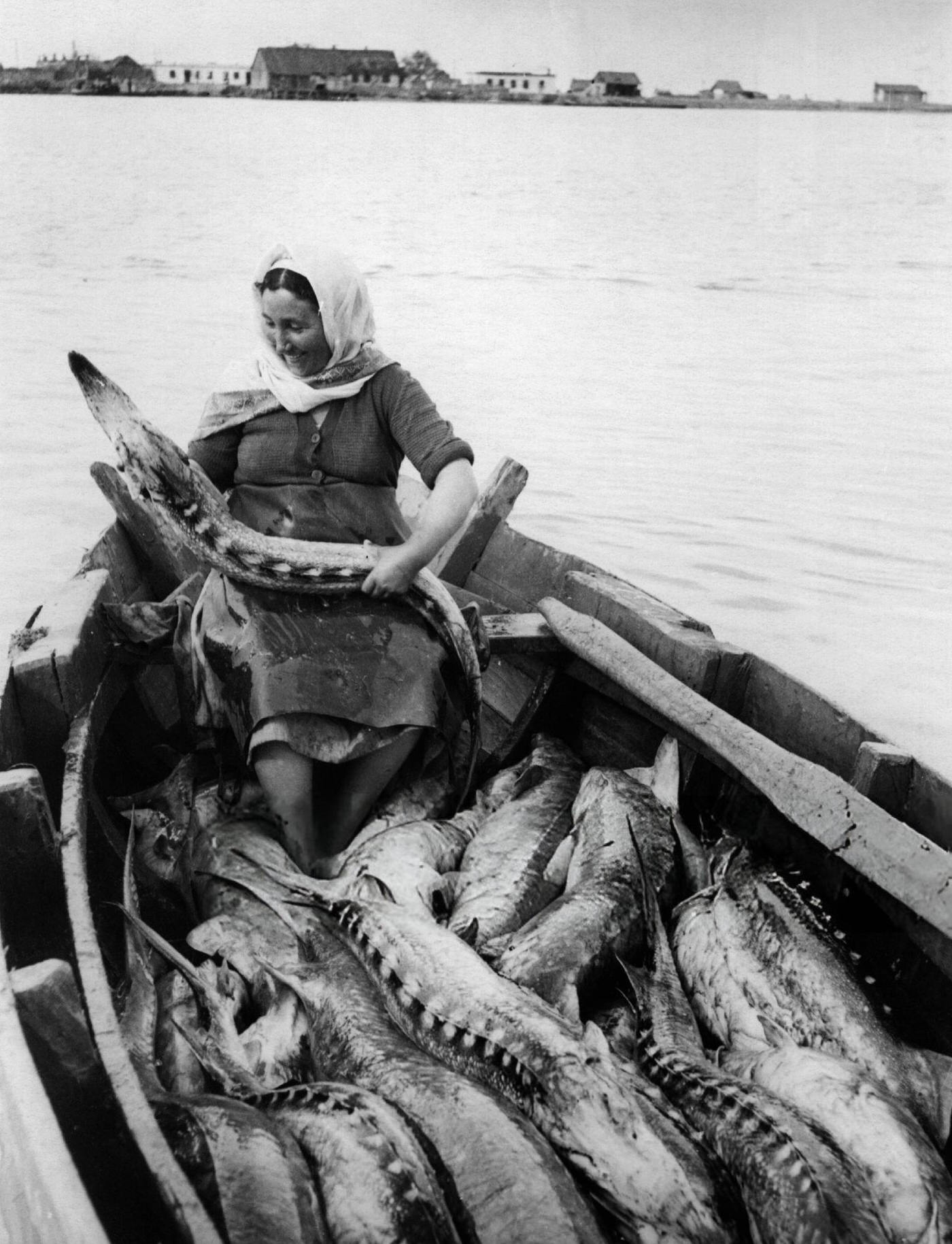 #59 Woman sitting among a boatload of sturgeons.