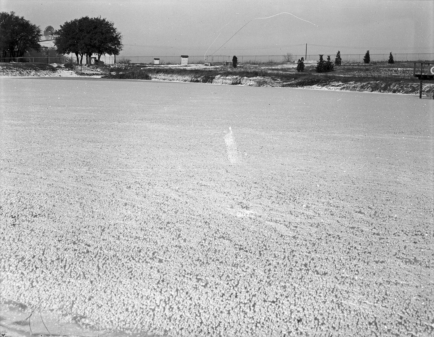#26 Frozen lake at Shady Oak Farm, 1930