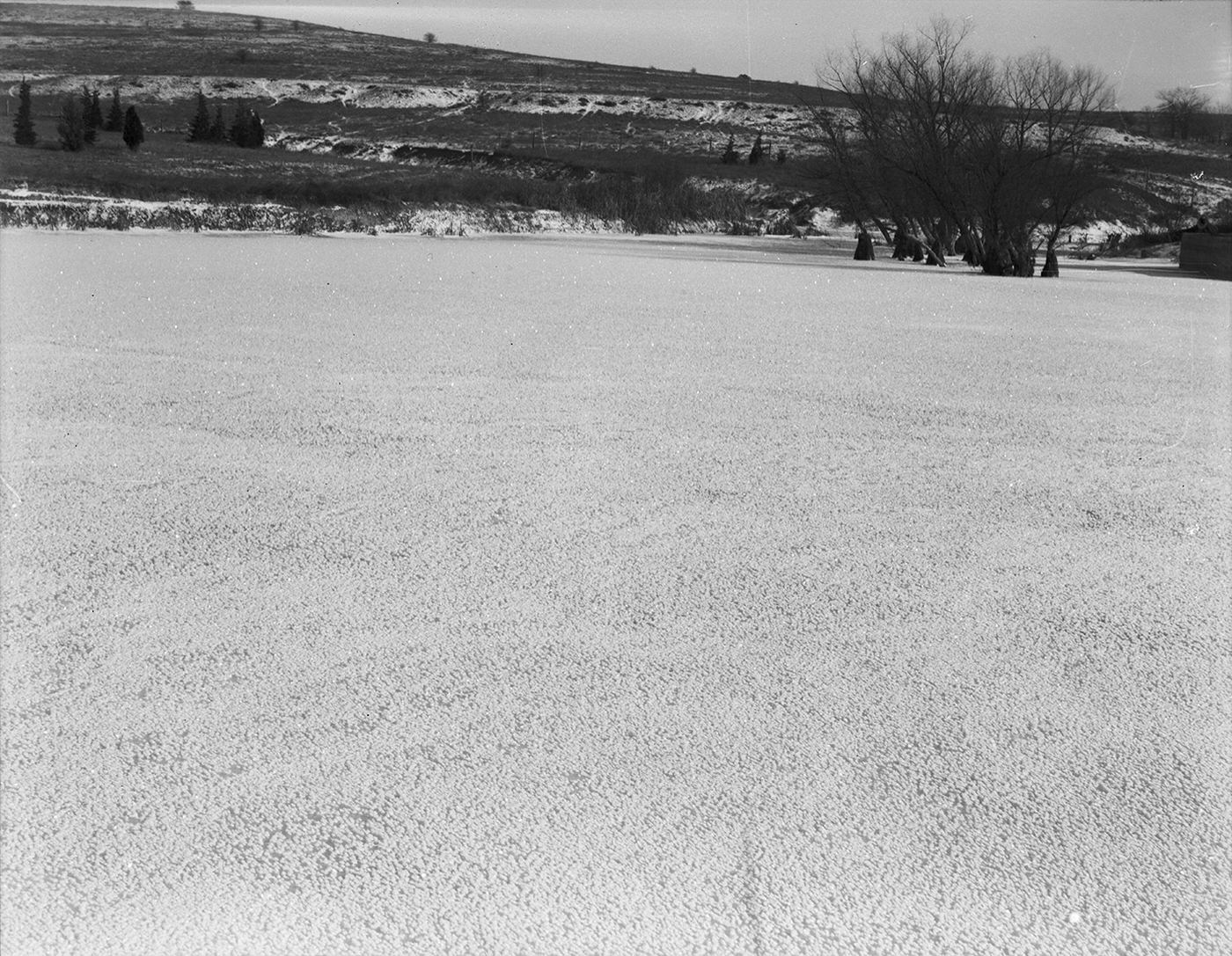 #37 Frozen lake at Shady Oak Farm, 1930