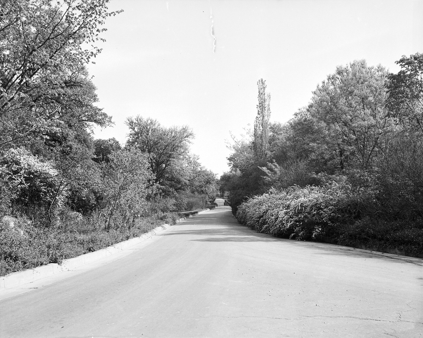 #57 Forest Park, Fort Worth, 1938
