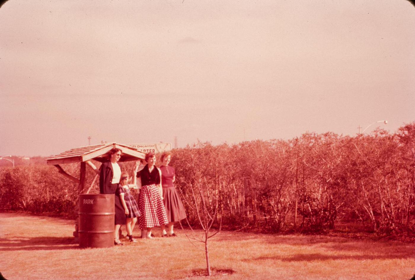 #19 Visitors in the Fort Worth Botanic Garden hedge maze, 1956.