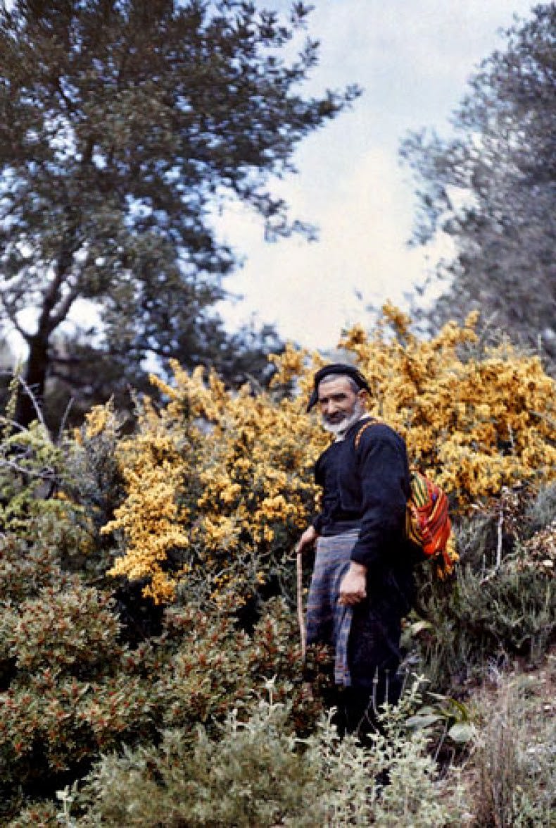 A muleteer stands in the woods in Crete.