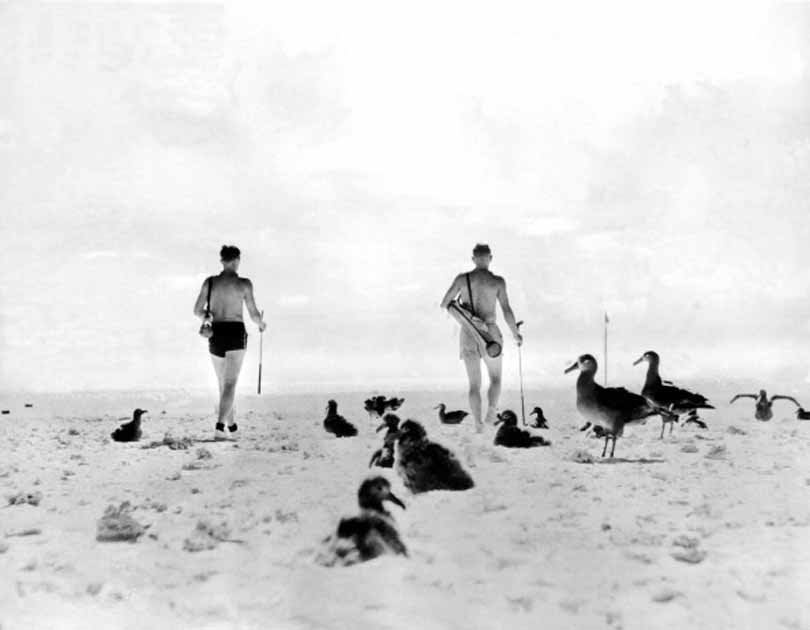 #76 PanAm Airways employees in Hawaii created a full-size golf course on the beach at Midway Island, 1936.