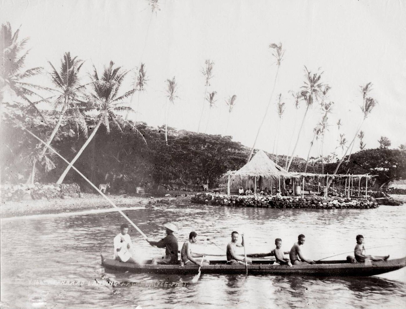 #28 Fishing canoe and crew, Hawaii, 1890s.