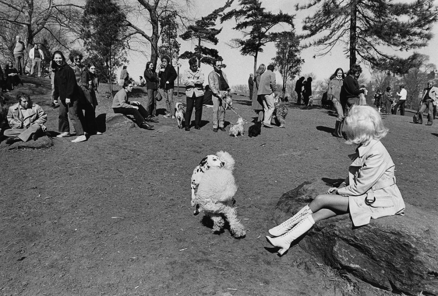 #33 Central Park, Girl With White Boots, NYC, 1971