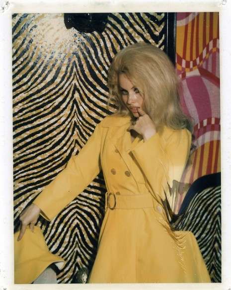 Strippers’ Polaroid Calling Cards from the 1960s and 1970s Weird