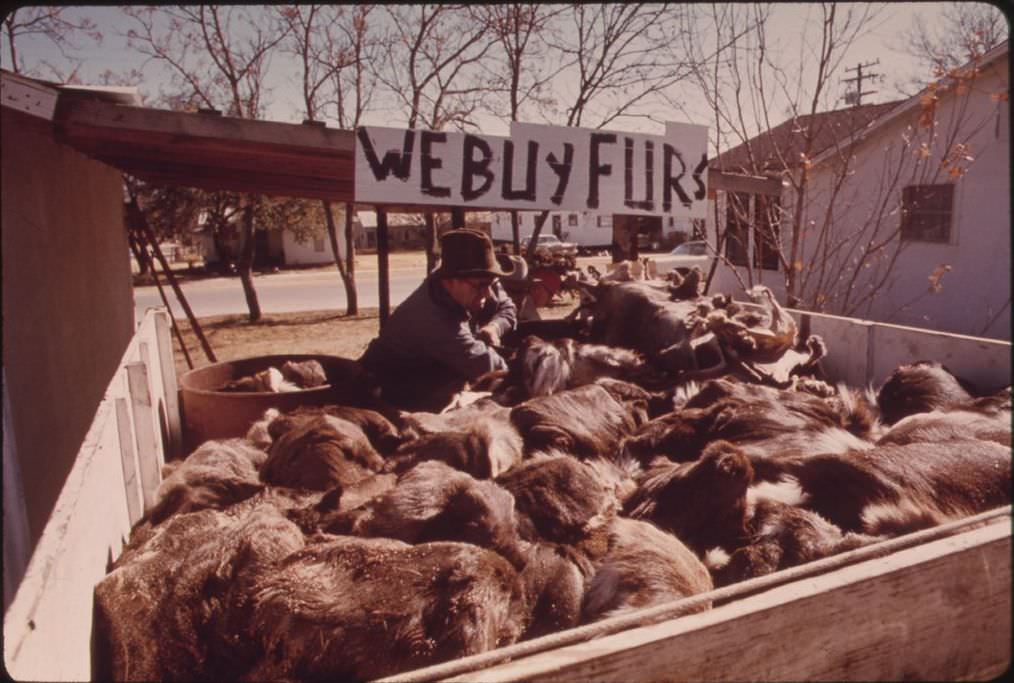 #20 A fur buyer with deer hides in Leakey, Texas, near San Antonio, 1973.