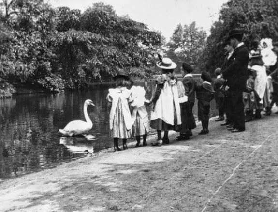 #22 Children feeding swans in Victoria Park, Hackney, London, 1890.