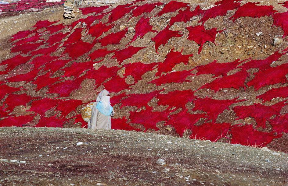 #16 Hides being dried on a hillside near the tanning quarter, 1984.