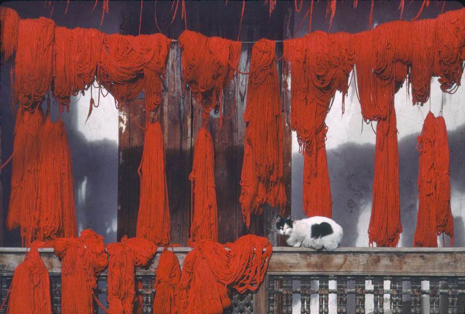 #41 Wool dyeing, 1984.