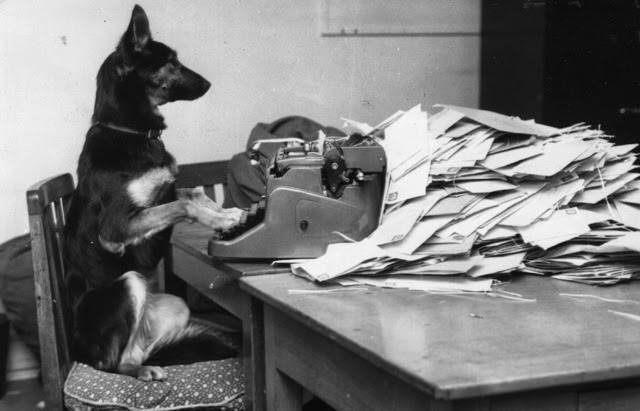 Petra, the Alsatian dog from the BBC’s children’s program, ‘Blue Peter,’ answering her fan mail, 1964.