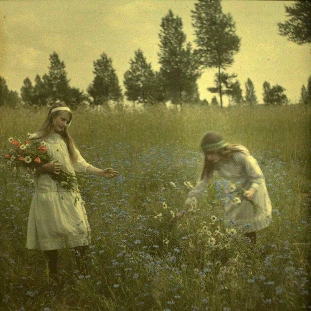 Two girls picking Cornflowers, c.1912