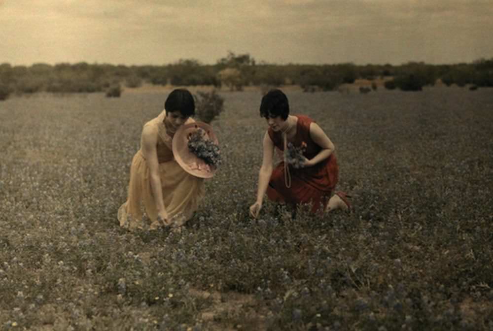 #77 Two women pick the state flower in a Laredo field