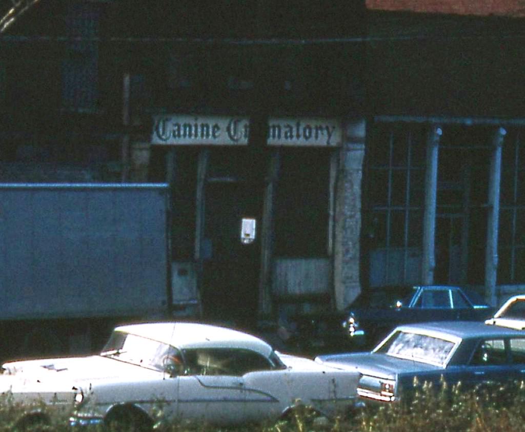 #7 Canine crematory.