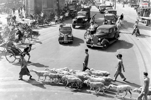 #22 At the end of the 1940s in the 20th century, despite Shanghai remaining China’s number one city, the theme of Shanghai during this time was of social unrest/turmoil. Strikes, civil war, and inflation plagued the city of Shanghai. Photo is of 1947 June 18, on the street from the central business district to the Bund public markets, a flock of sheep crossing the street causes road congestion in the morning.