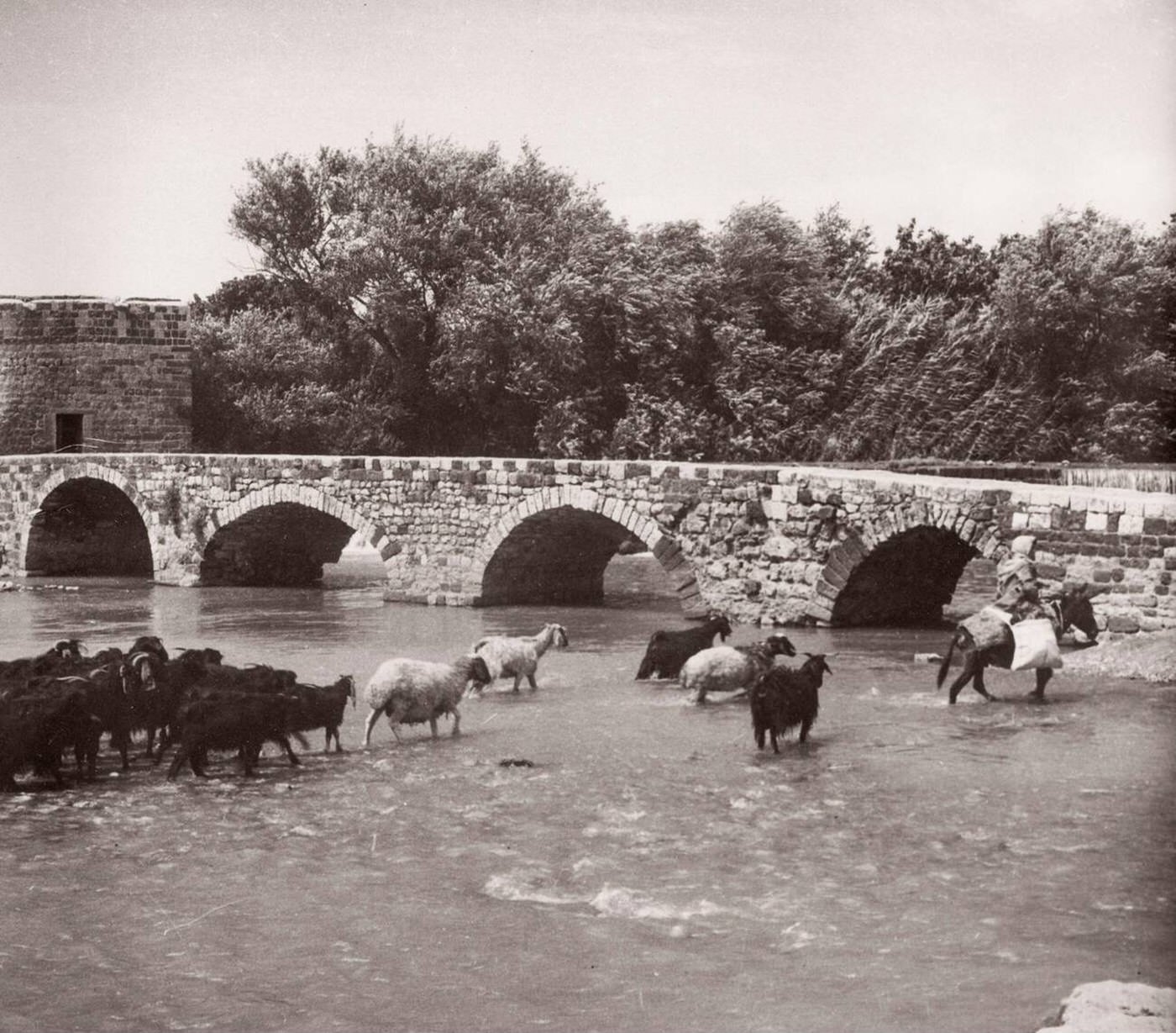 #26 Hama on the river Orontes, Syria, 1943.