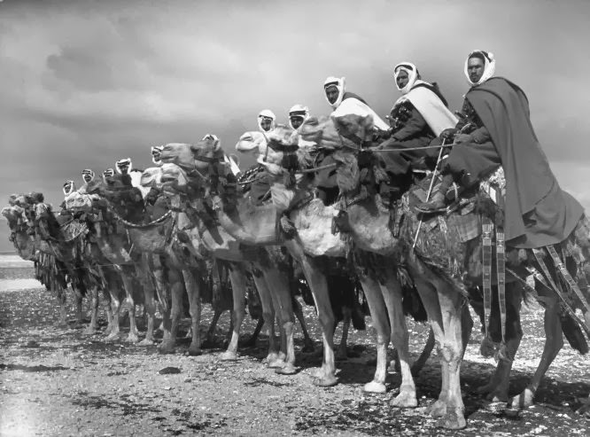 #3 Members of the Bedouin “camel cavalry” near Damascus, Syria, 1940.