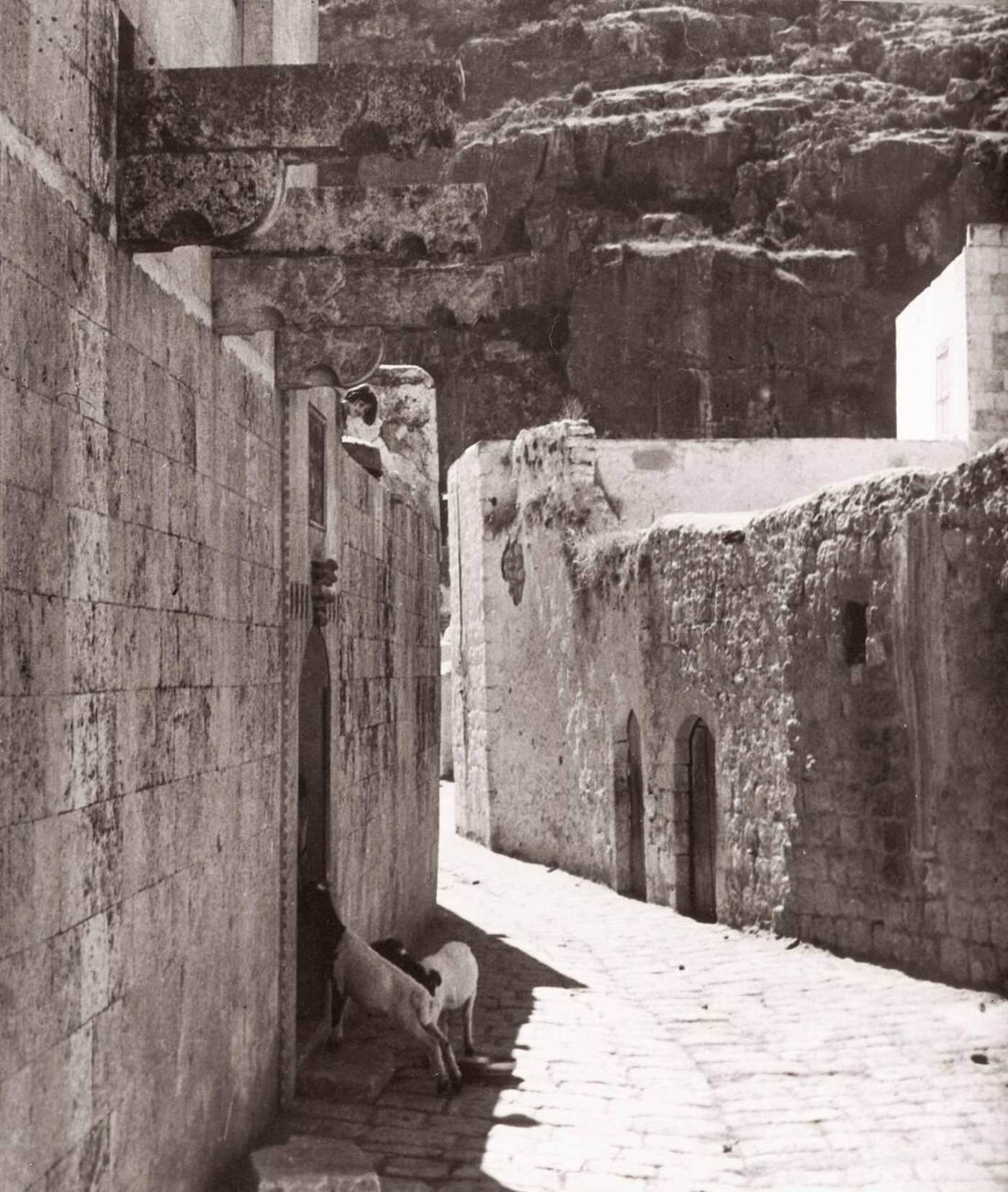 #40 Darkouch on the River Orontes, Syria, 1843.