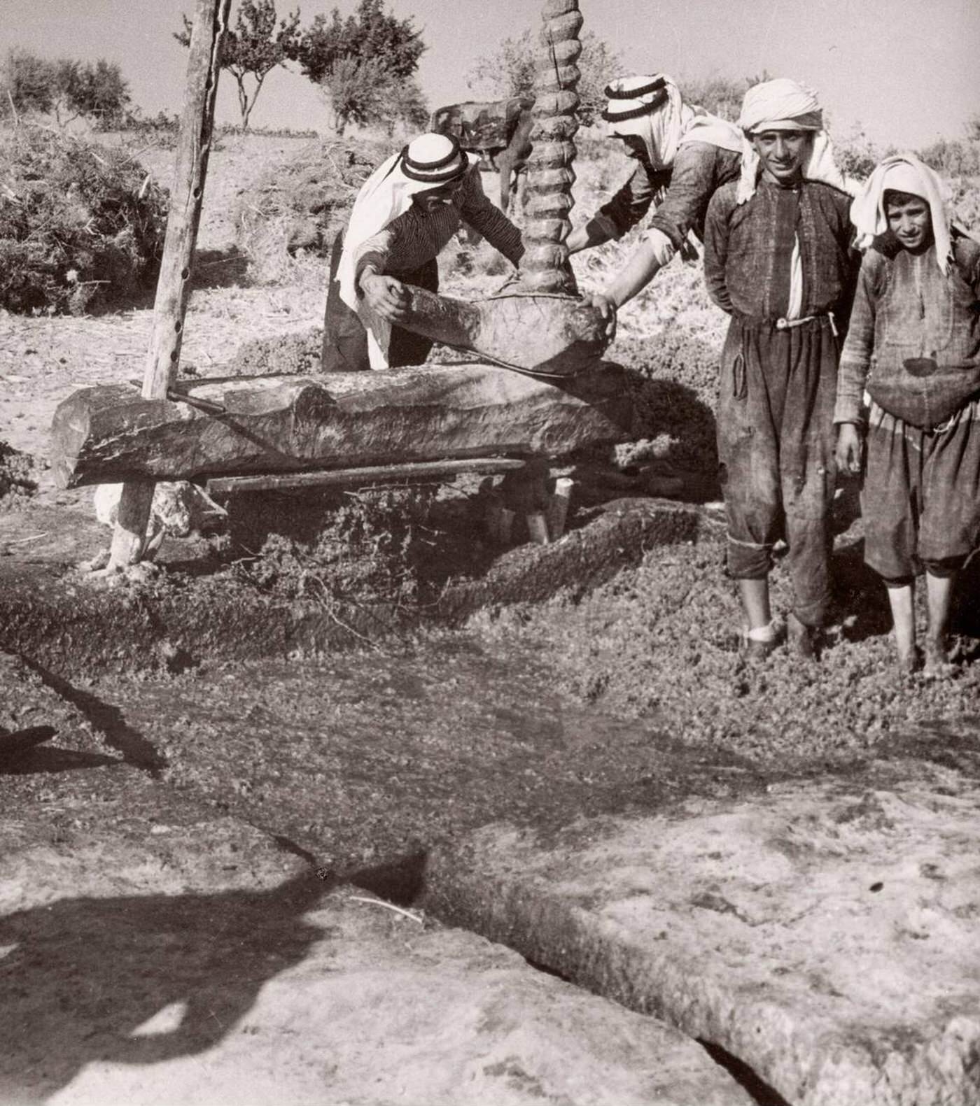 #53 Boiling grapes to make Arak liquor, Syria, 1943.