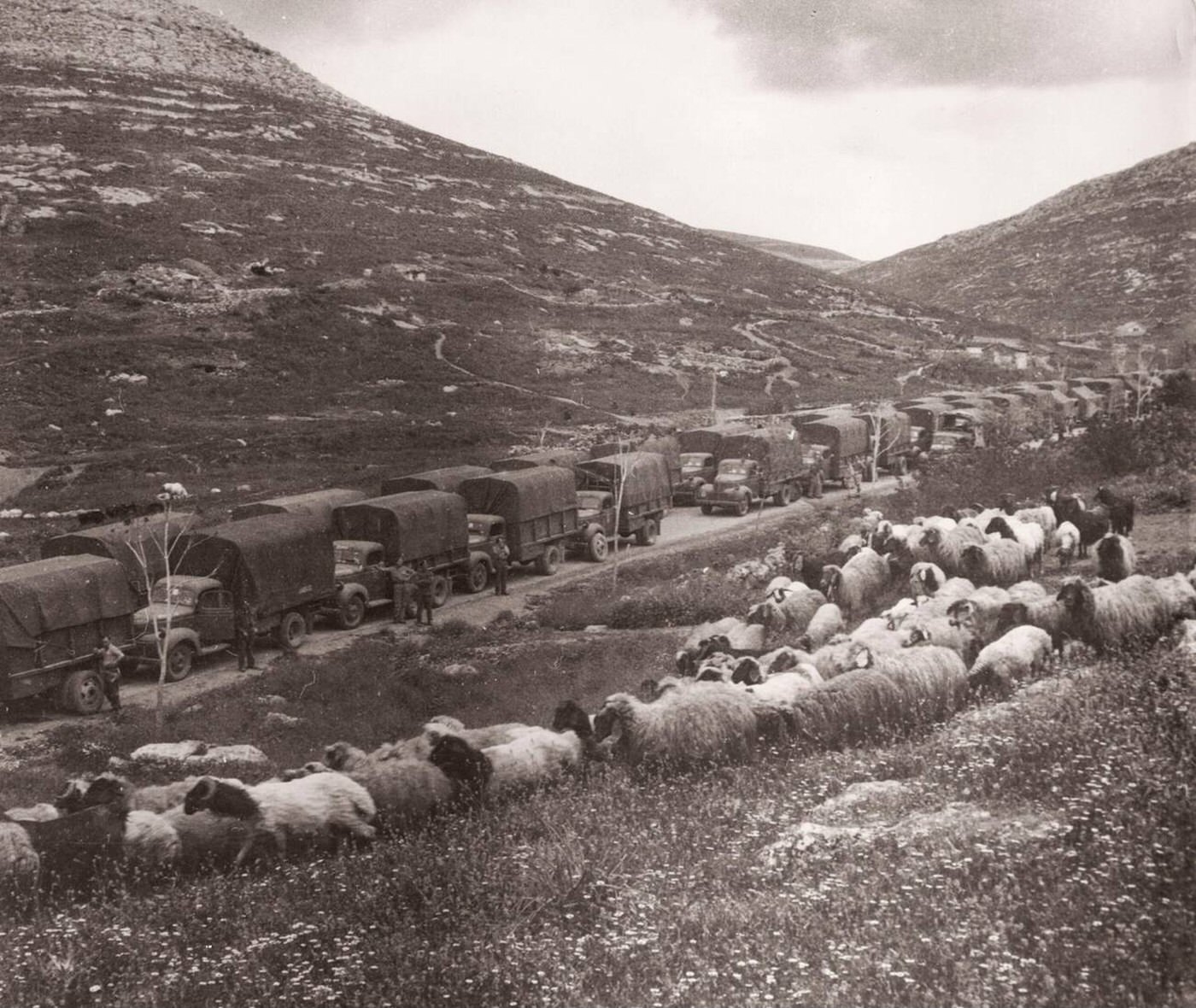 #67 Supply convoy of aid inside Turkish territory near the Syria, Turkey border, 1943.