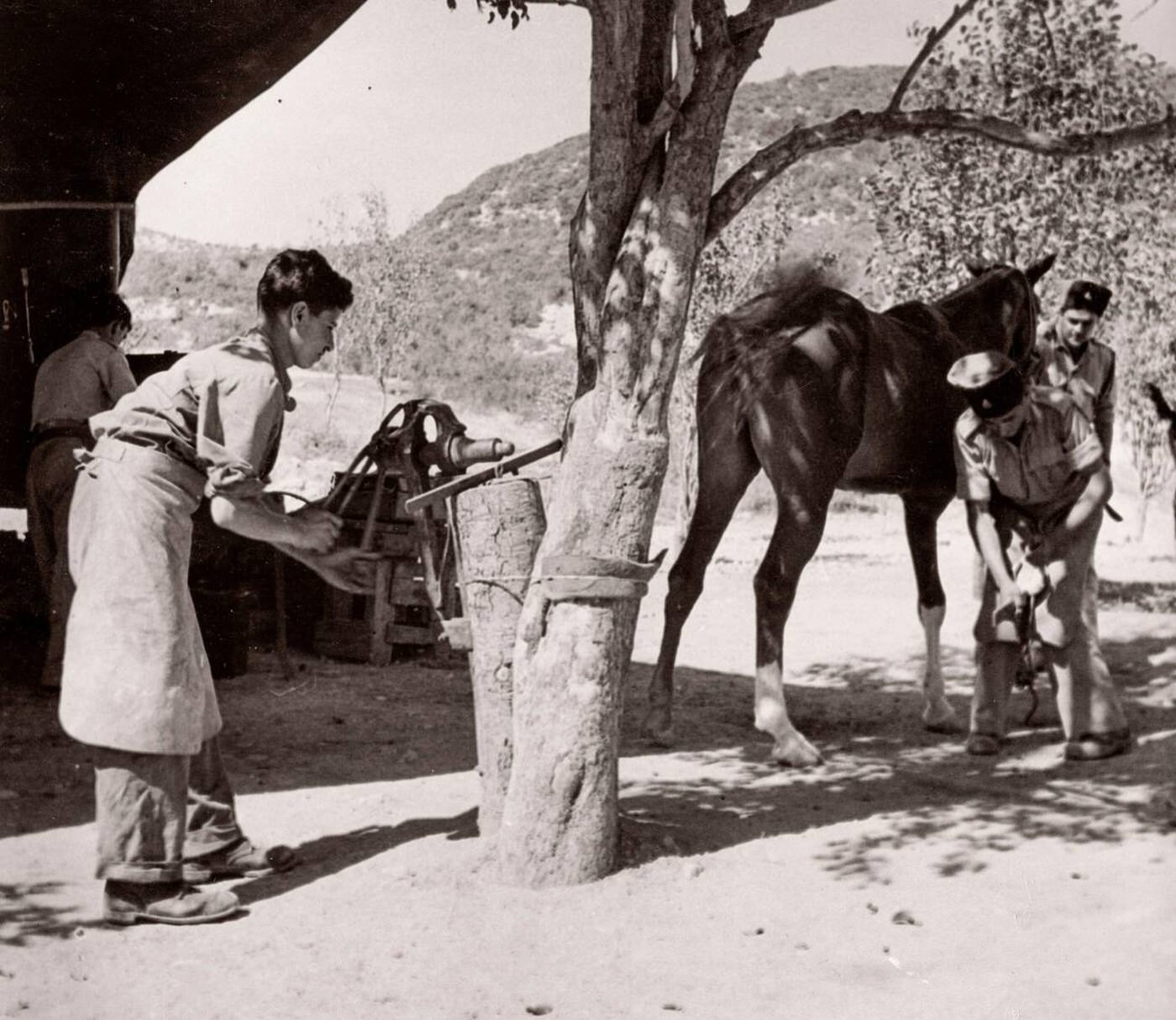 #74 Trans-Jordanian Frontier Force TJFF army regiment, Syria, 1943.