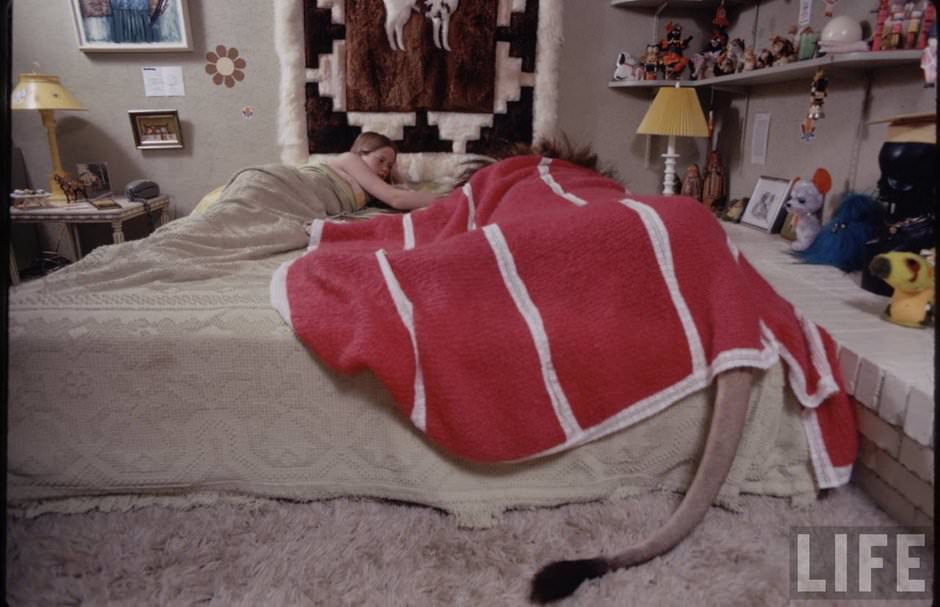 Sleeping with a Lion: A Detailed Look at the Bizarre and Dangerous Home Life of Tippi Hedren and a Teenage Melanie Gr