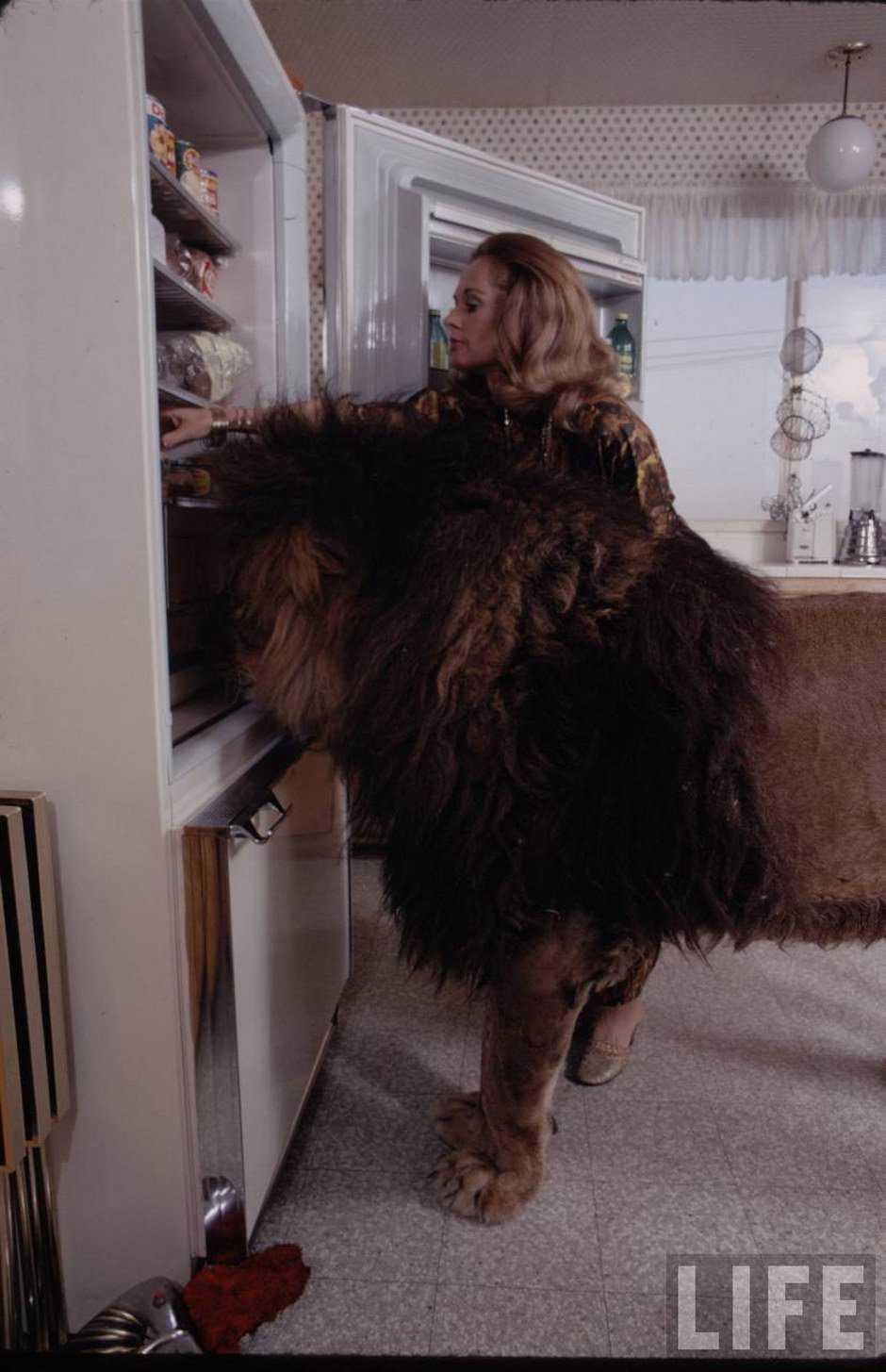 Sleeping with a Lion: A Detailed Look at the Bizarre and Dangerous Home Life of Tippi Hedren and a Teenage Melanie Gr