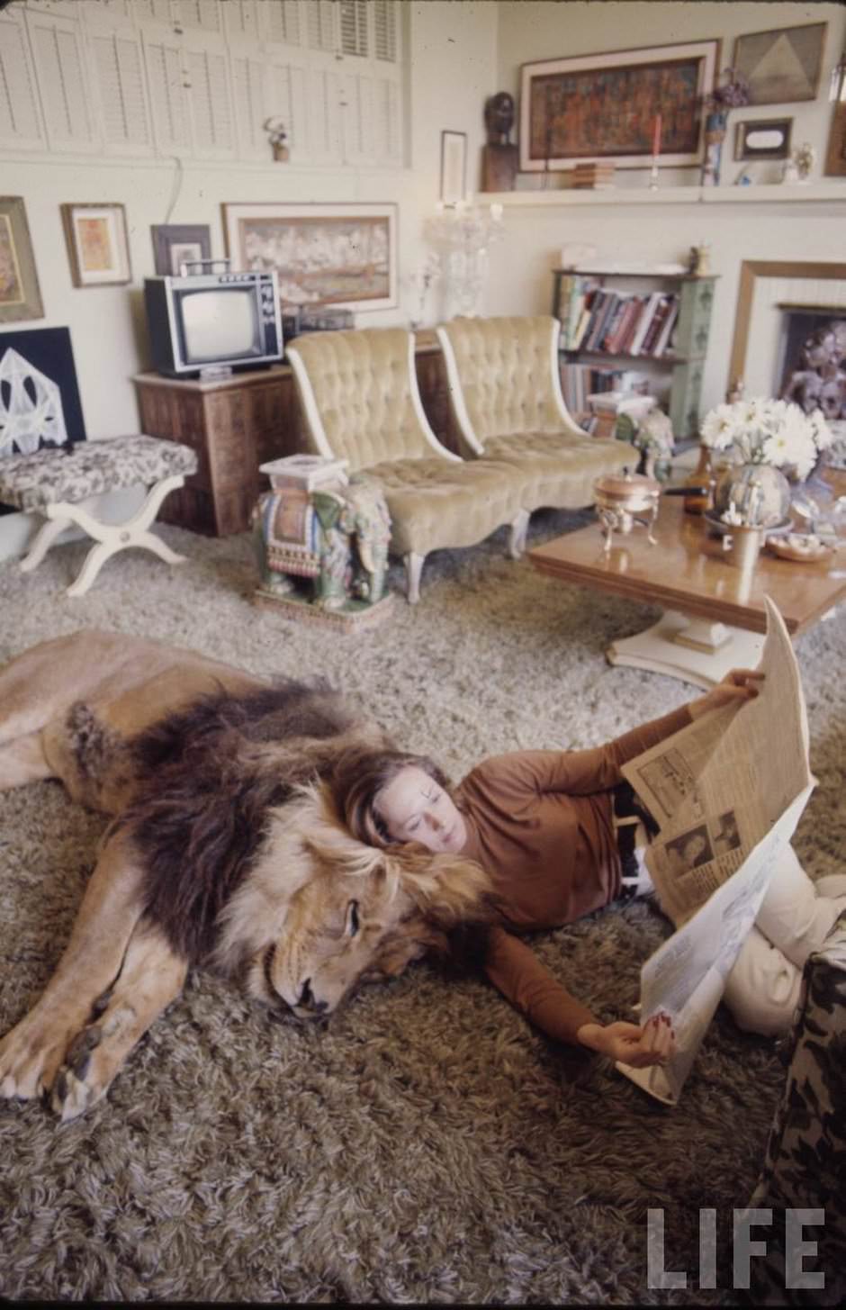 Sleeping with a Lion: A Detailed Look at the Bizarre and Dangerous Home Life of Tippi Hedren and a Teenage Melanie Gr