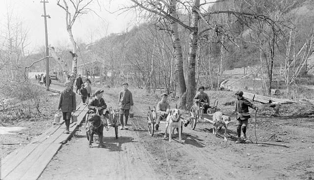 Dogs pulling carts, Montmorency Falls, Quebec, 1915.