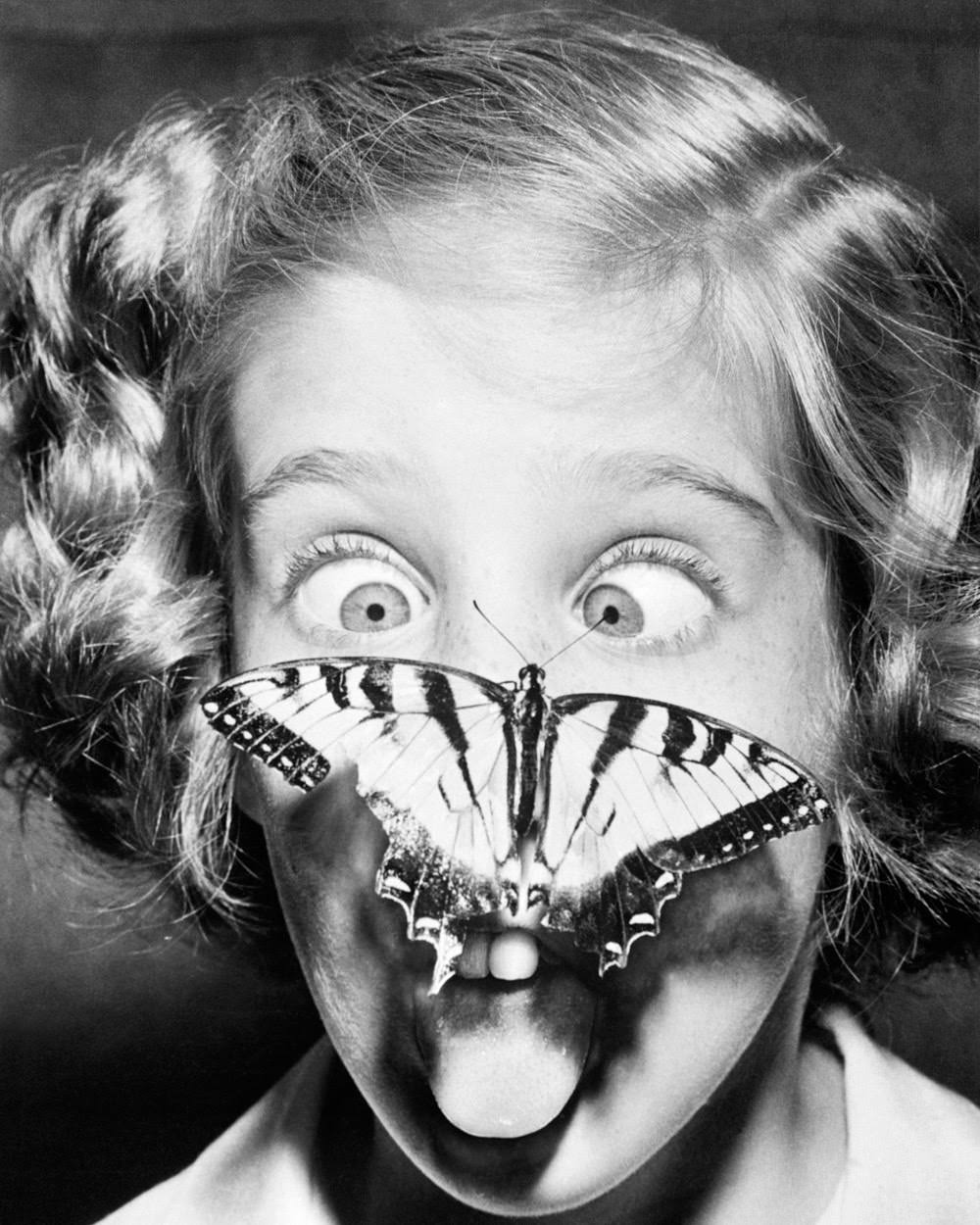 August 5, 1960. Tired of being stared at, this handsome butterfly decided to return the compliment by perching on the nose of Susan Bermann for a close-up look at the little miss. Susan registered cross-eyed amazement at the butterfly’s audacity.