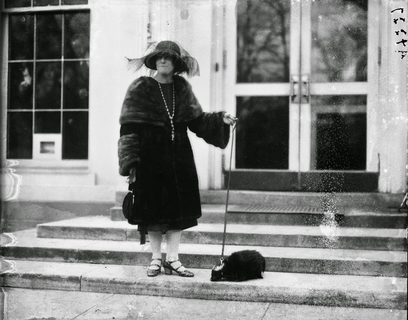 March, 1922. A woman and her pet skunk visit the White House.