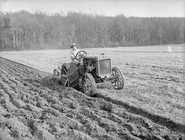 A woman ‘land girl’ driving a tractor ploughing a field, 1918.