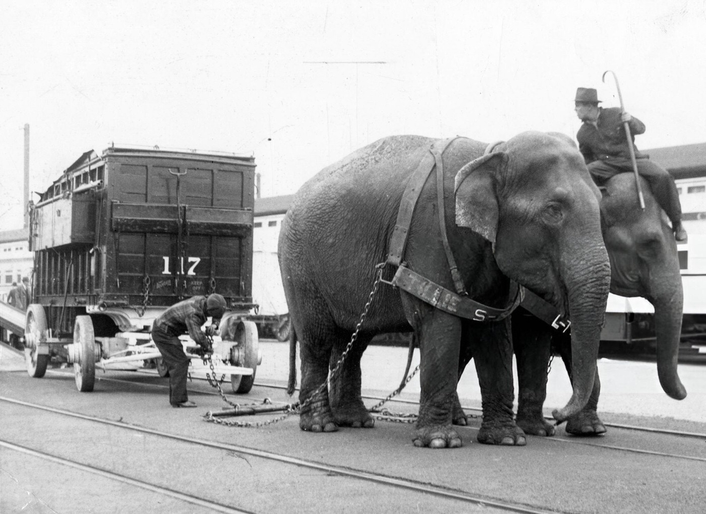 #27 Elephants unload circus trucks and cages as the Ringling Bros. and Barnum & Bailey Circus arrives at the Rutherford Avenue rail yards in Boston, 1940.