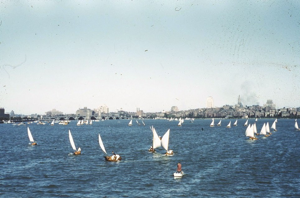 #5 Charles River Sailboats