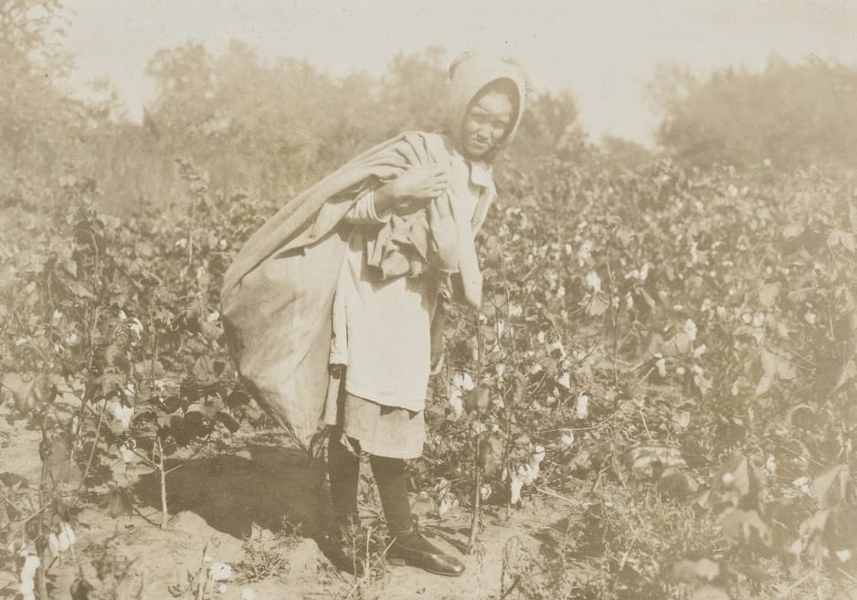 #13 Cleo Campbell, 9 years old, picks 75 to 100 pounds of cotton a day. Expects to start school soon. Said: “I’d ruther go to school and then I wouldn’t have ter work.” Father said she and her sister begin about 6 A.M. and work until 6 or 7 P.M. with 1 1/2 hours off at noon. Potawotamie, Oklahoma, USA 1916.