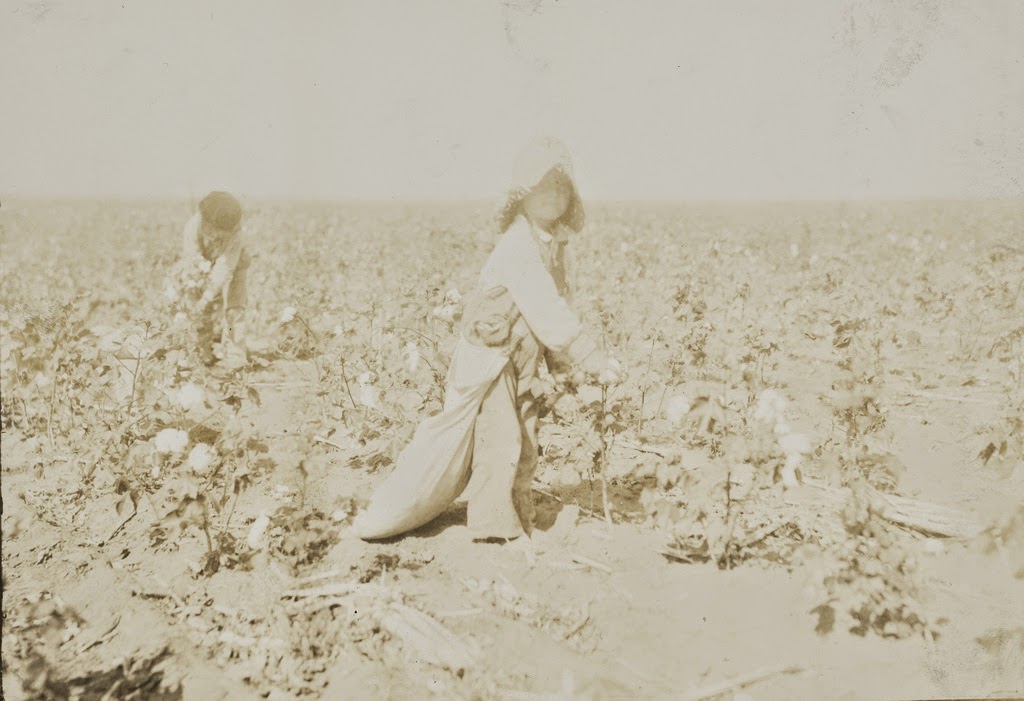 #2 Mart Payne, 5 years old, picks from 10 to 20 pounds a day. Mother said: “Mart, he haint old nuff to go to school much, but he kin pick his 20 pounds a day. Mostly 10 or 15 pounds.” Comanche County, Oklahoma.
