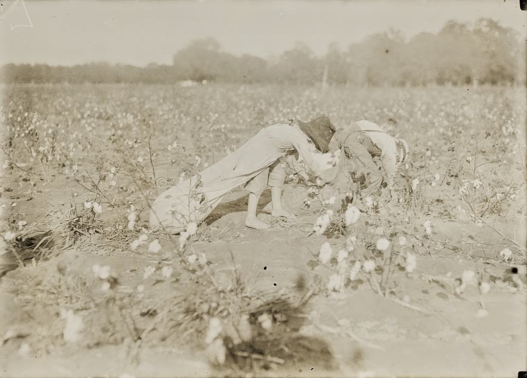 #6 All these children five years, six years, seven years, nine years and two a little older, were picking cotton on H.M. Lane’s farm Bells, Texas, USA 1913.