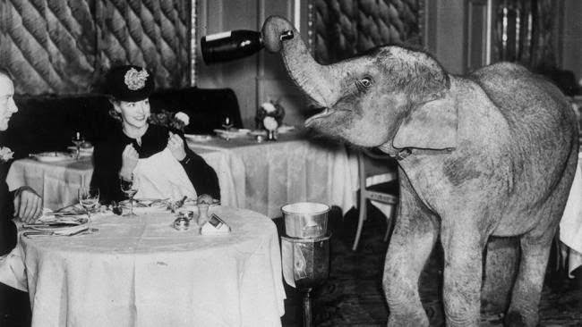 #19 Comet, an elephant from Chessington Zoo spends the weekend as a waiter at the Trocadero Restaurant in Piccadilly Circus, London, 1938.